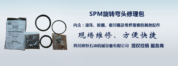 SPM旋转弯头修理包.jpg
