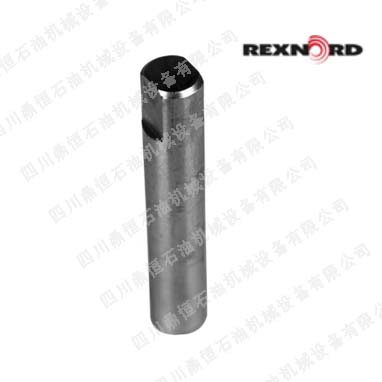 Rexnord调整杆10309104