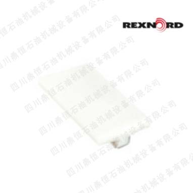 Rexnord模块化塑料皮带导轨RX-SSTS-2.25-10