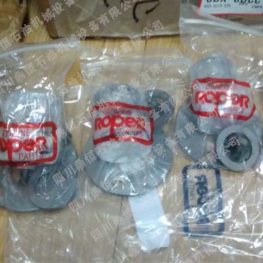 Roper齿轮泵2AM27密封修理包N24-154 美国进口