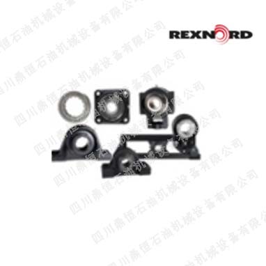 Rexnord/Link-Belt扣押链A4539A24-2
